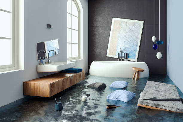 Professional Water damage restoration in Harvard, IL