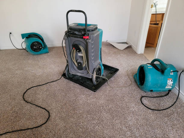 Best Emergency water extraction  in Harvard, IL