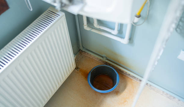 Best Water damage restoration near me  in Harvard, IL