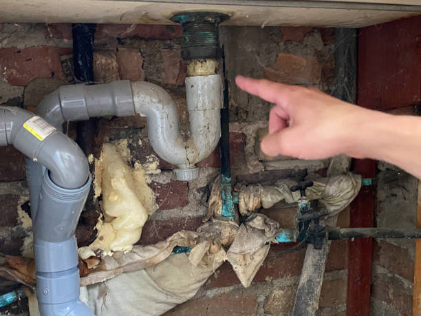Best Water damage cleanup near me  in Harvard, IL