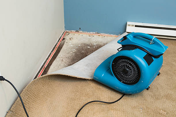Best Water damage restoration cost  in Harvard, IL